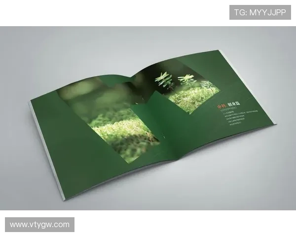 开云Kaiyun网娱乐打造安全绿色的网络环境保障用户的网络安全和隐私权益 开云Kaiyun网娱乐打造安全绿色的网络环境保障用户的网络安全和隐私权益